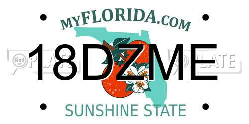 18DZME Florida License Plate