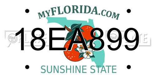 18EA899 Florida License Plate