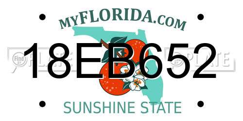 18EB652 Florida License Plate