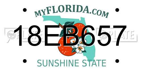 18EB657 Florida License Plate