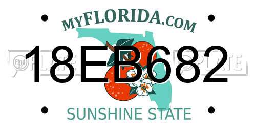 18EB682 Florida License Plate