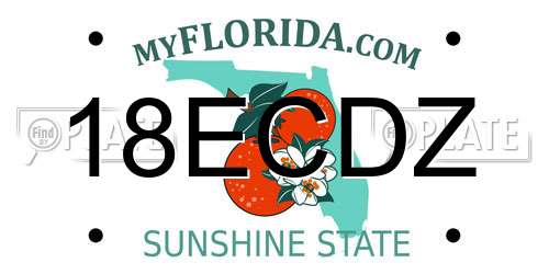 18ECDZ Florida License Plate