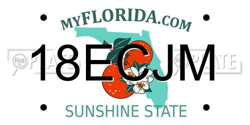 18ECJM Florida License Plate