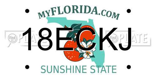 18ECKJ Florida License Plate