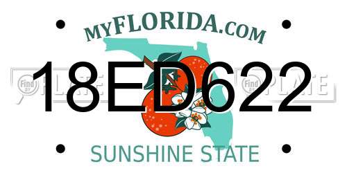 18ED622 Florida License Plate
