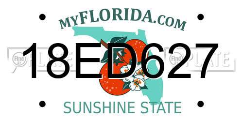 18ED627 Florida License Plate