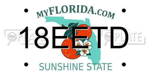 18EETD Florida License Plate