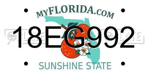 18EG992 Florida License Plate