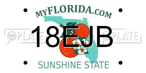 18EJB Florida License Plate