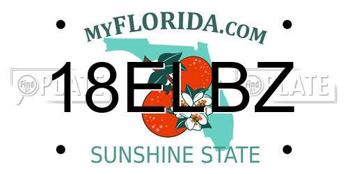 18ELBZ Florida License Plate
