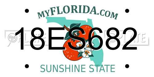 18ES682 Florida License Plate