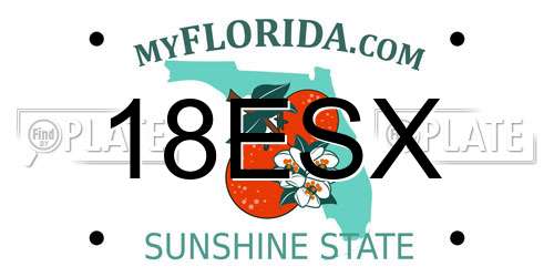 18ESX Florida License Plate