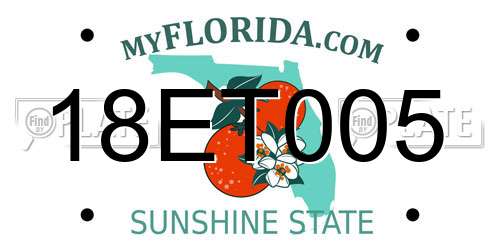18ET005 Florida License Plate