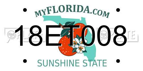 18ET008 Florida License Plate
