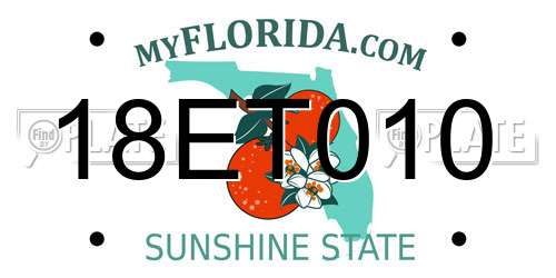 18ET010 Florida License Plate