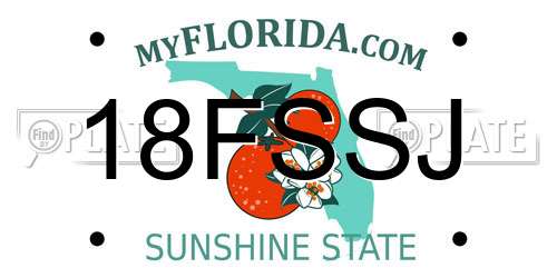 18FSSJ Florida License Plate