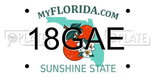 18GAE Florida License Plate