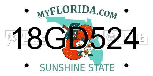 18GD524 Florida License Plate