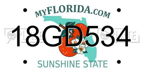18GD534 Florida License Plate