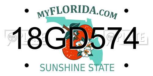 18GD574 Florida License Plate
