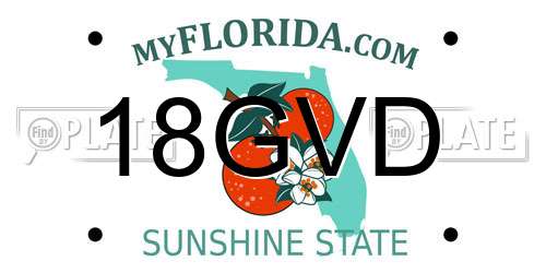18GVD Florida License Plate