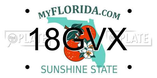 18GVX Florida License Plate
