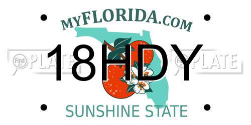 18HDY Florida License Plate