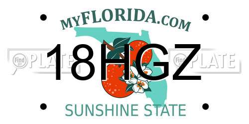 18HGZ Florida License Plate