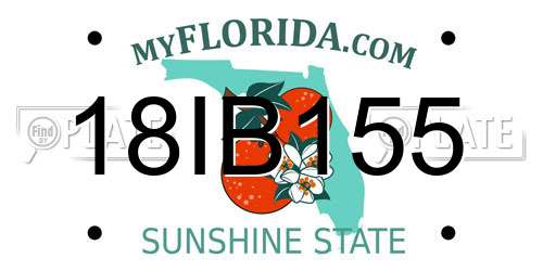 18IB155 Florida License Plate