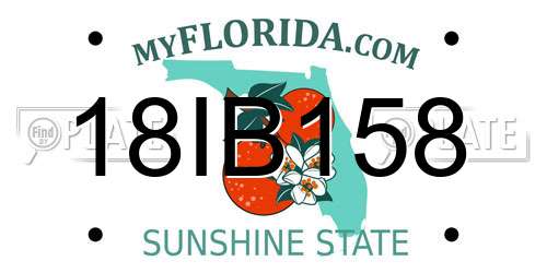 18IB158 Florida License Plate