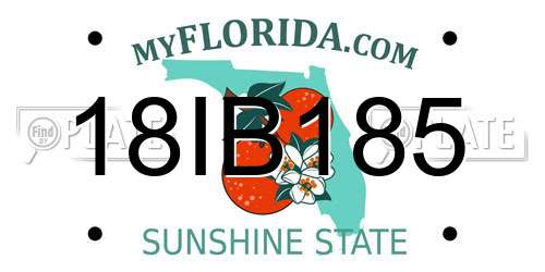 18IB185 Florida License Plate
