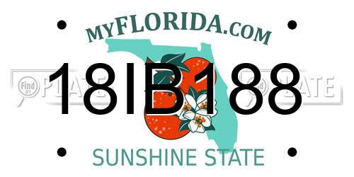 18IB188 Florida License Plate