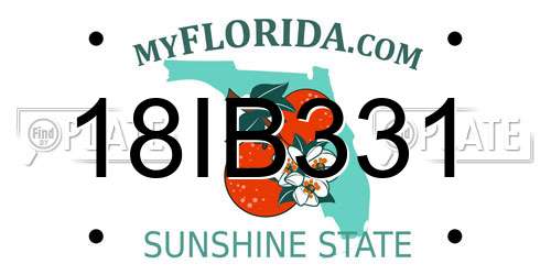 18IB331 Florida License Plate