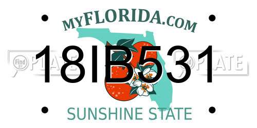 18IB531 Florida License Plate