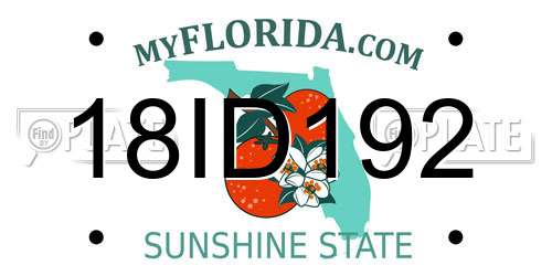 18ID192 Florida License Plate
