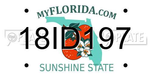 18ID197 Florida License Plate