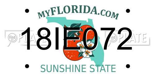 18IE072 Florida License Plate