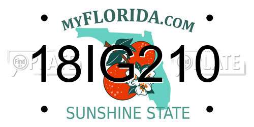 18IG210 Florida License Plate