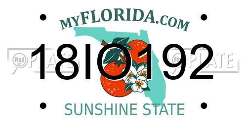 18IO192 Florida License Plate