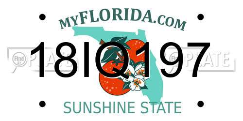 18IQ197 Florida License Plate