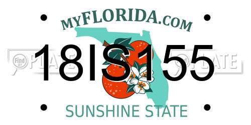 18IS155 Florida License Plate