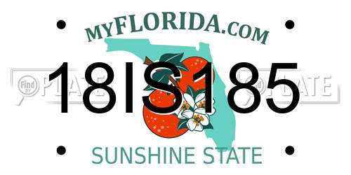 18IS185 Florida License Plate