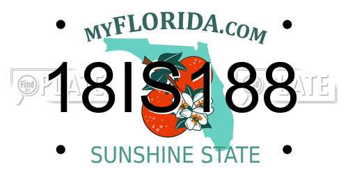18IS188 Florida License Plate