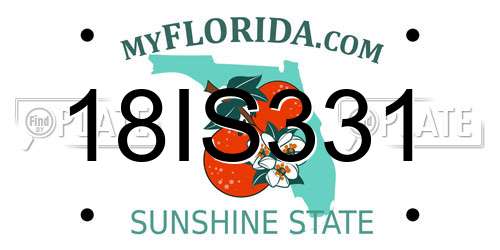 18IS331 Florida License Plate