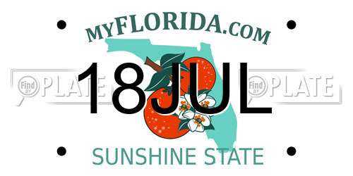 18JUL Florida License Plate