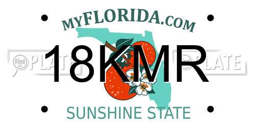 18KMR Florida License Plate