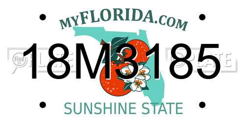 18M3185 Florida License Plate