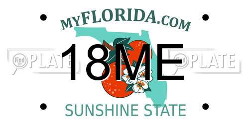 18ME Florida License Plate