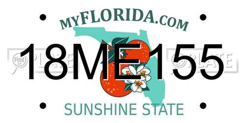18ME155 Florida License Plate