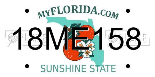 18ME158 Florida License Plate